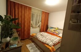 Apartament 2 camere, Vasile Aaron