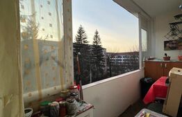 Apartament de vanzare, cu 3 camere, 45,50 mp, zona Iorga-Ostirii