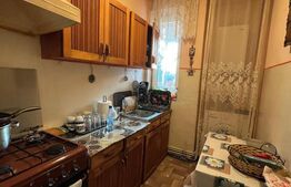 Apartament de vanzare, cu 3 camere, 45,50 mp, zona Iorga-Ostirii