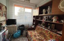 Apartament de vanzare, cu 3 camere, 45,50 mp, zona Iorga-Ostirii