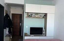 Garsoniera decomandata, 26,49 mp, cu gradina de 22 mp, Sibiu