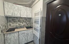 Garsoniera de vanzare, 21 mp, mobilata utilata, Cartier Terezian (lângă Lidl)