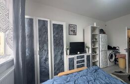 Garsoniera de vanzare, 21 mp, mobilata utilata, Cartier Terezian (lângă Lidl)