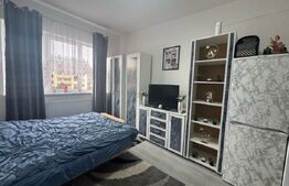 Garsoniera de vanzare, 21 mp, mobilata utilata, Cartier Terezian (lângă Lidl)