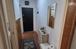 Aartament de vanzare, cu 2 camere, 37 mp, zona Hipodom 3