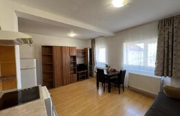 Garsoniera de vanzare, 28 mp, zona Stefan cel Mare 