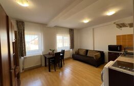 Garsoniera de vanzare, 28 mp, zona Stefan cel Mare 