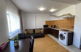 Garsoniera de vanzare, 28 mp, zona Stefan cel Mare 