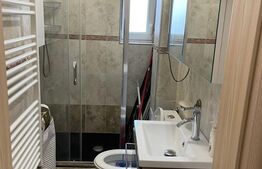 Apartament cu 2 camere, 35 mp si curte de 40 mp, zona Ogorului