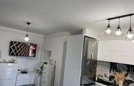 Apartament cu 2 camere, 35 mp si curte de 40 mp, zona Ogorului