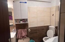 Apartament cu 2 camere, 45 mp, zona Doamna Stanca