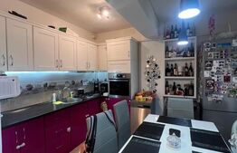 Apartament cu 2 camere, 45 mp, zona Doamna Stanca