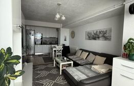 Apartament cu 2 camere, 47 mp - Doamna Stanca