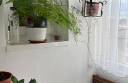 Garsoniera decomandata, Cisnadie