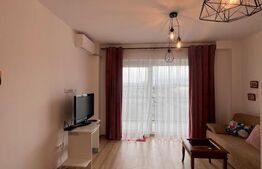 Apartament de vanzare, cu o cameră, 40 mp, zona Broscărie