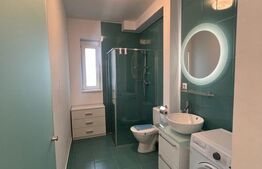 Apartament de vanzare, cu o cameră, 40 mp, zona Broscărie