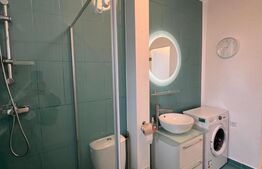 Apartament de vanzare, cu o cameră, 40 mp, zona Broscărie