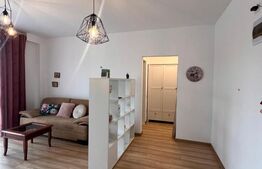 Apartament de vanzare, cu o cameră, 40 mp, zona Broscărie