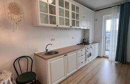 Apartament de vanzare, cu o cameră, 40 mp, zona Broscărie