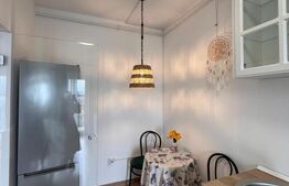 Apartament de vanzare, cu o cameră, 40 mp, zona Broscărie