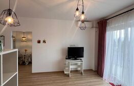 Apartament de vanzare, cu o cameră, 40 mp, zona Broscărie
