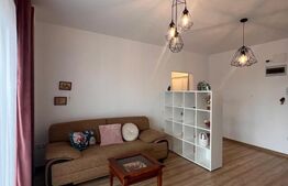 Apartament de vanzare, cu o cameră, 40 mp, zona Broscărie