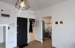 Apartament de vanzare, cu o cameră, 40 mp, zona Broscărie