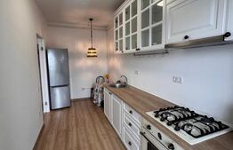 Apartament de vanzare, cu o cameră, 40 mp, zona Broscărie