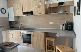 Apartament de vanzare, cu o cameră, 36 mp, zona Turnișor