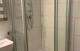 Apartament de vanzare, cu o cameră, 36 mp, zona Turnișor