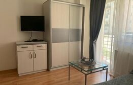 Apartament de vanzare, cu o cameră, 36 mp, zona Turnișor