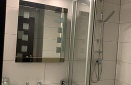 Apartament de vanzare, cu o cameră, 36 mp, zona Turnișor