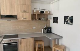 Apartament de vanzare, cu o cameră, 36 mp, zona Turnișor