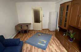 Apartament cu o camera, 21 mp, zona Broscărie