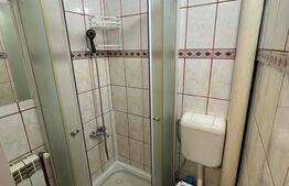 Apartament cu o camera, 21 mp, zona Broscărie