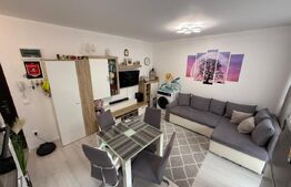 Apartament cu 2 camere, semidecomandat, 33 mp, zona Turnișor