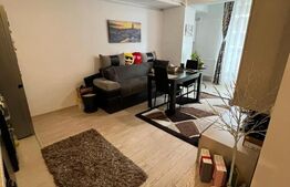 Apartament de vanzare, cu 2 camere, 44 mp, zona Doamna Stanca, Sibiu