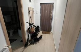 Apartament de vanzare, cu 2 camere, 44 mp, zona Doamna Stanca, Sibiu