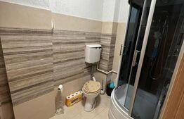 Apartament de vanzare, cu 2 camere, 44 mp, zona Doamna Stanca, Sibiu