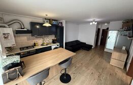 Apartament cu 2 camere, semidecomandat, 41 mp, zona Calea Șurii Mici, Sibiu