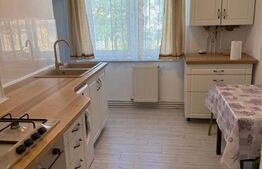 Apartament de vanzare, cu 2 camere, decomandat, 54 mp, zona Terezian