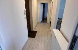 Apartament de vanzare, cu 2 camere, decomandat, 54 mp, zona Terezian