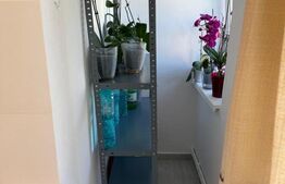 Apartament de vanzare, cu 2 camere, decomandat, 54 mp, zona Terezian