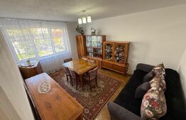 Apartament de vanzare, cu 2 camere, decomandat, 54 mp, zona Terezian