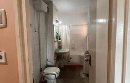 Apartamentde vanzare, cu 2 camere, 47 mp, cartierul Vasile Aaron