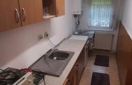 Apartament cu 1 camera, zona Vasile Aron