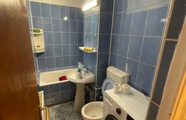 Apartament cu 1 camera, zona Vasile Aron