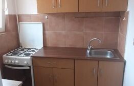 Garsoniera de vanzare, 28 mp, zona Vasile Aron