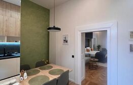 Apartament de vanzare, cu o cameră, 55 mp, zona Centrul Istoric