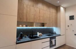 Apartament de vanzare, cu o cameră, 55 mp, zona Centrul Istoric